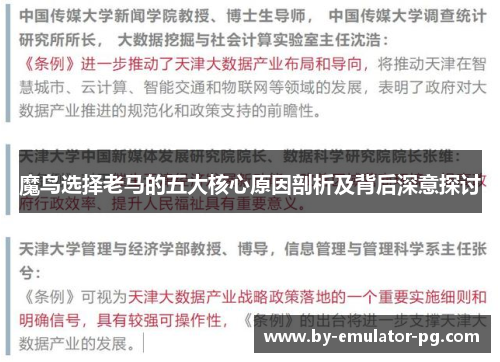 魔鸟选择老马的五大核心原因剖析及背后深意探讨