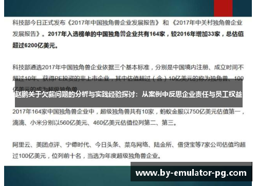 赵鹏关于欠薪问题的分析与实践经验探讨:从案例中反思企业责任与员工权益 赵鹏关于欠薪问题的分析与实践经验探讨:从案例中反思企业责任与员工权益