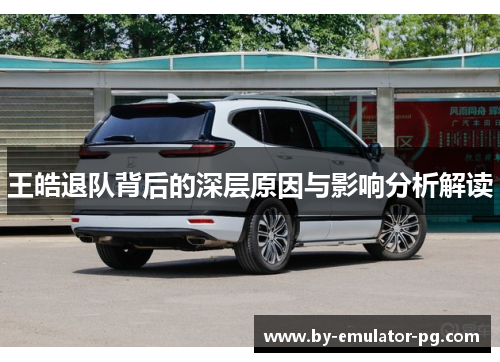 王皓退队背后的深层原因与影响分析解读